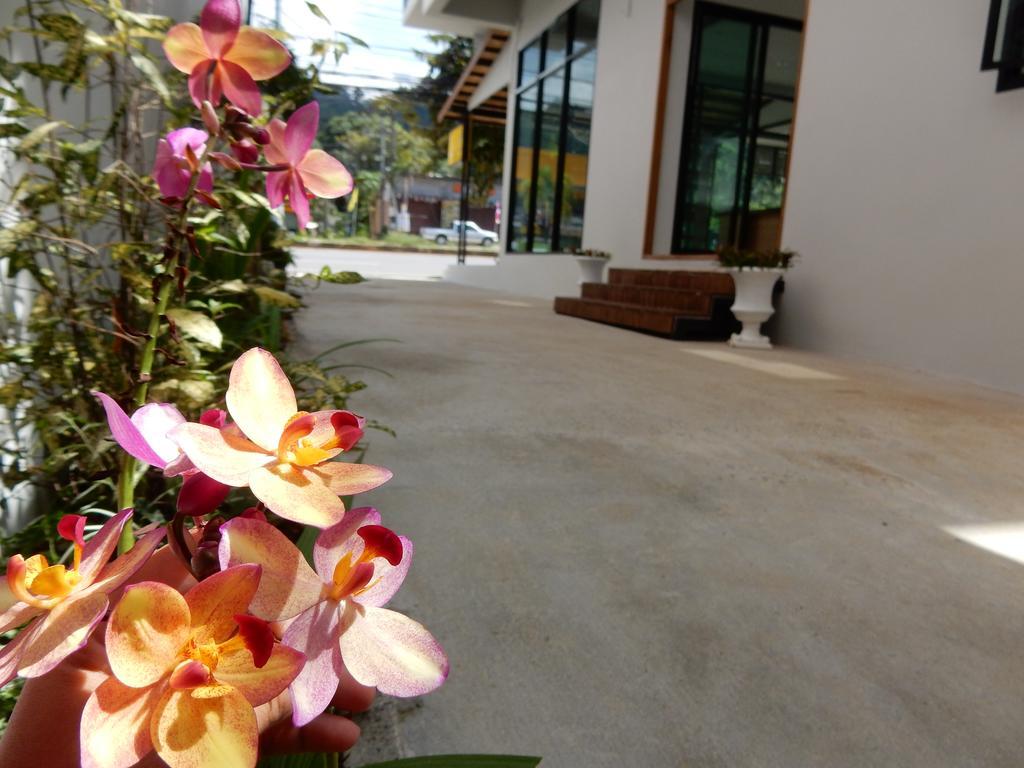 Wandee Bed & Breakfast Καο Λακ Εξωτερικό φωτογραφία